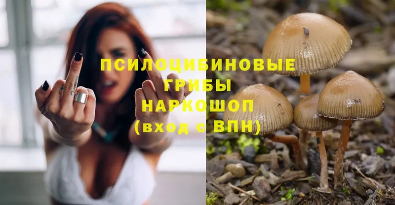 Псилоцибиновые грибы MAGIC MUSHROOMS  Александровск 